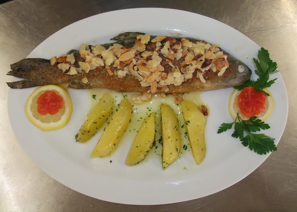 Ferienhotel Knollhof 람자우 암 다흐스타인 외부 사진