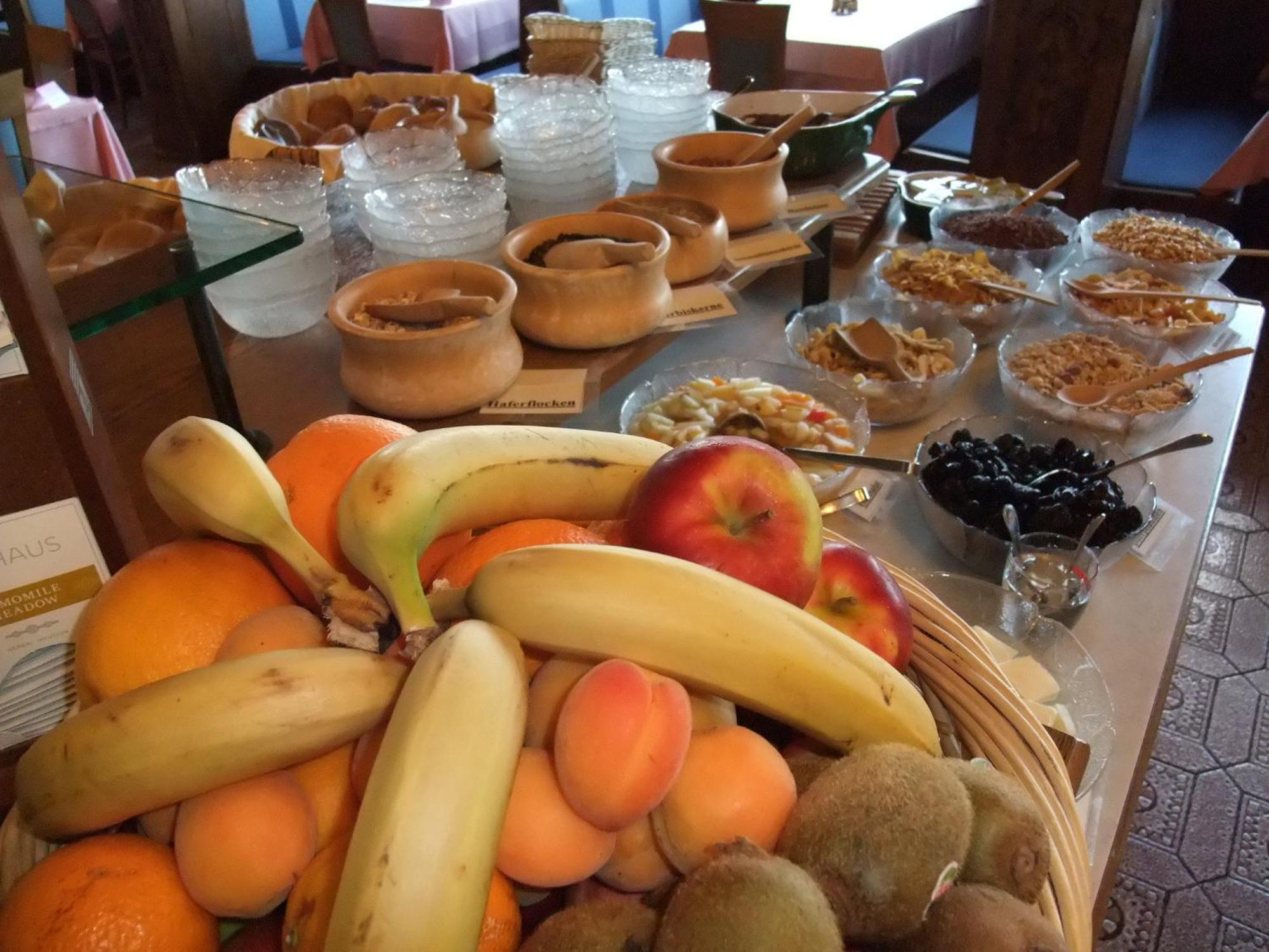 Ferienhotel Knollhof 람자우 암 다흐스타인 외부 사진